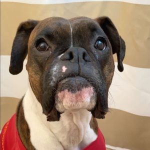 Meet your Posher, Tiara